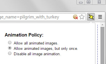 animation policy