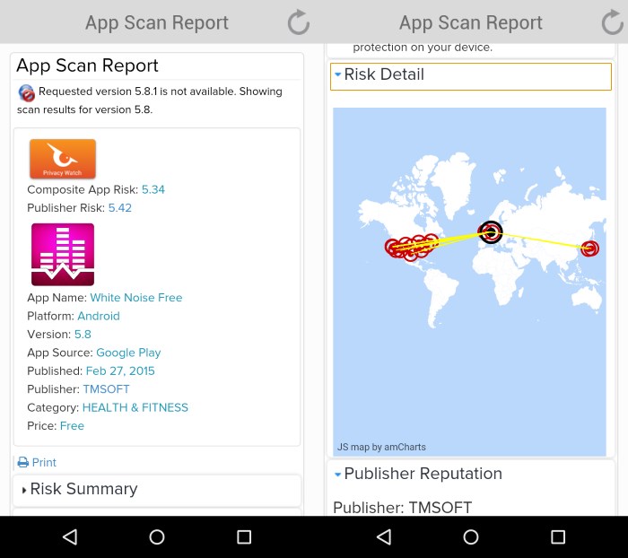 app scan report