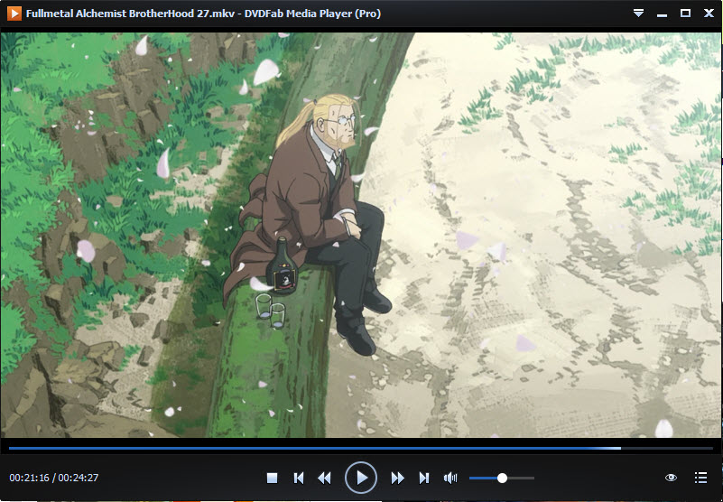 dvdfab media player pro