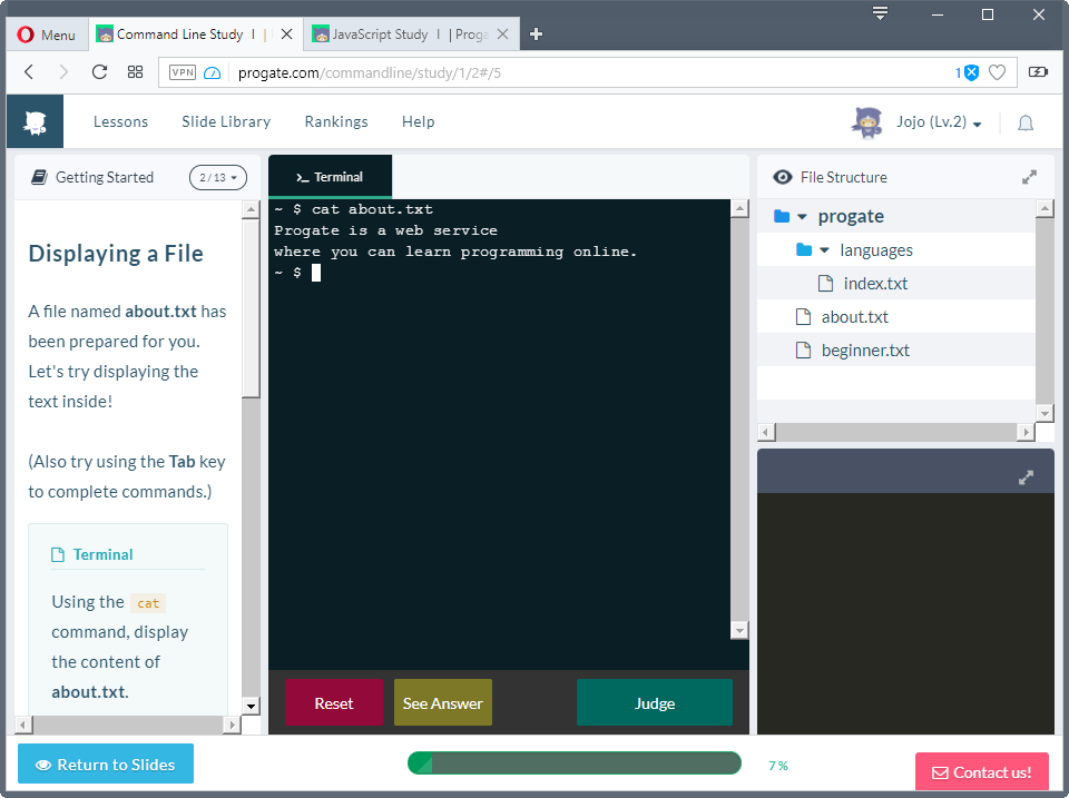 learn programming progate