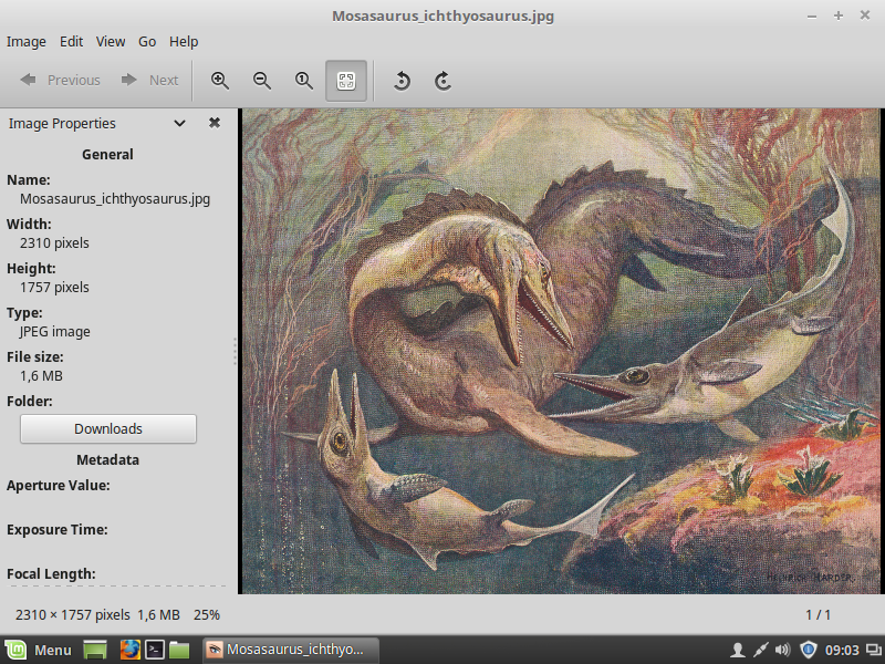 linux mint x-apps