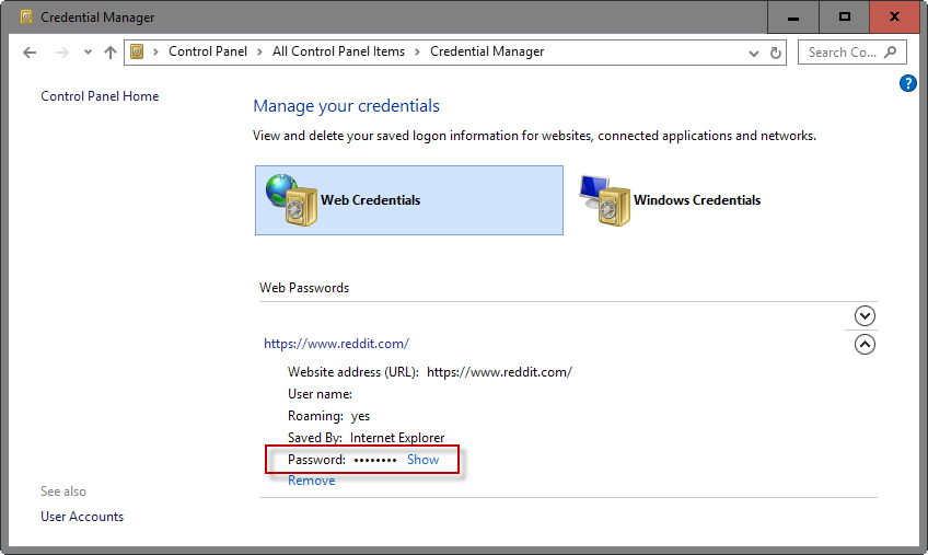 show password