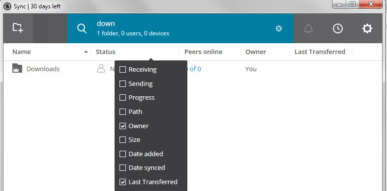 sync owner last transferred column