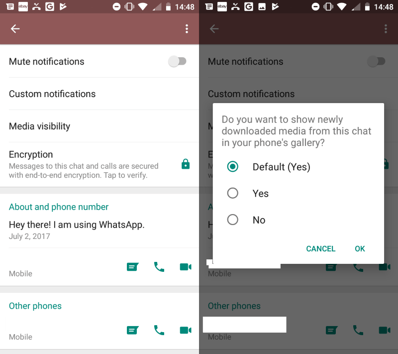 whatsapp chat visibility