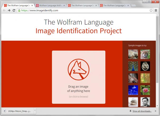 image identification project